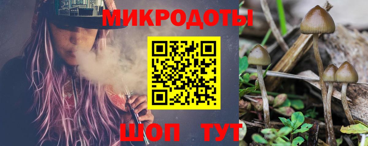 Псилоцибиновые грибы MAGIC MUSHROOMS  Вход с VPN  Симферополь 